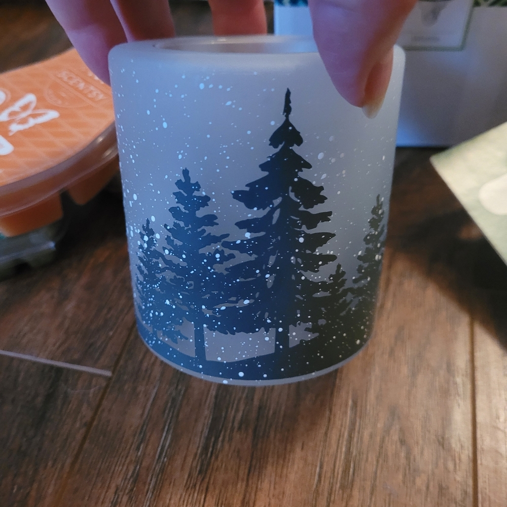 Scentsy bundle - Picture 3 of 14